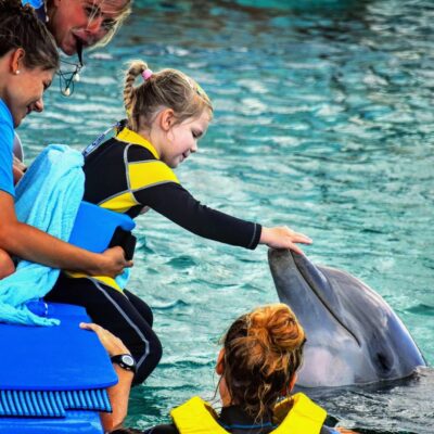 Dolfijntherapie
